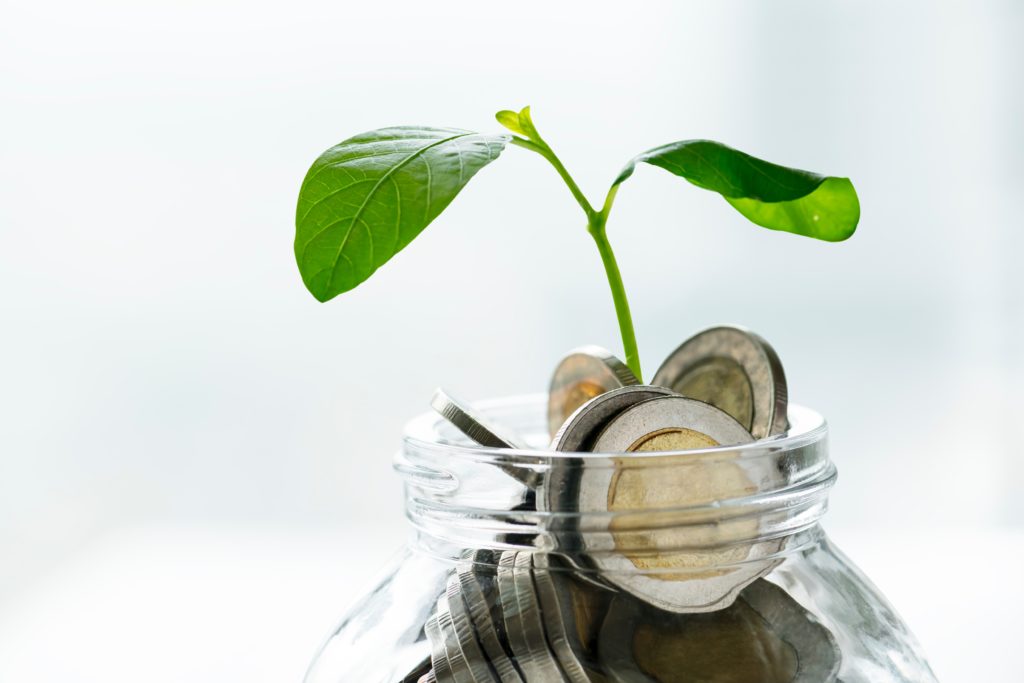 Money in jar with green leaf growing on top